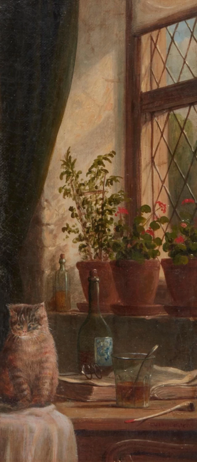 Gatto alla finestra